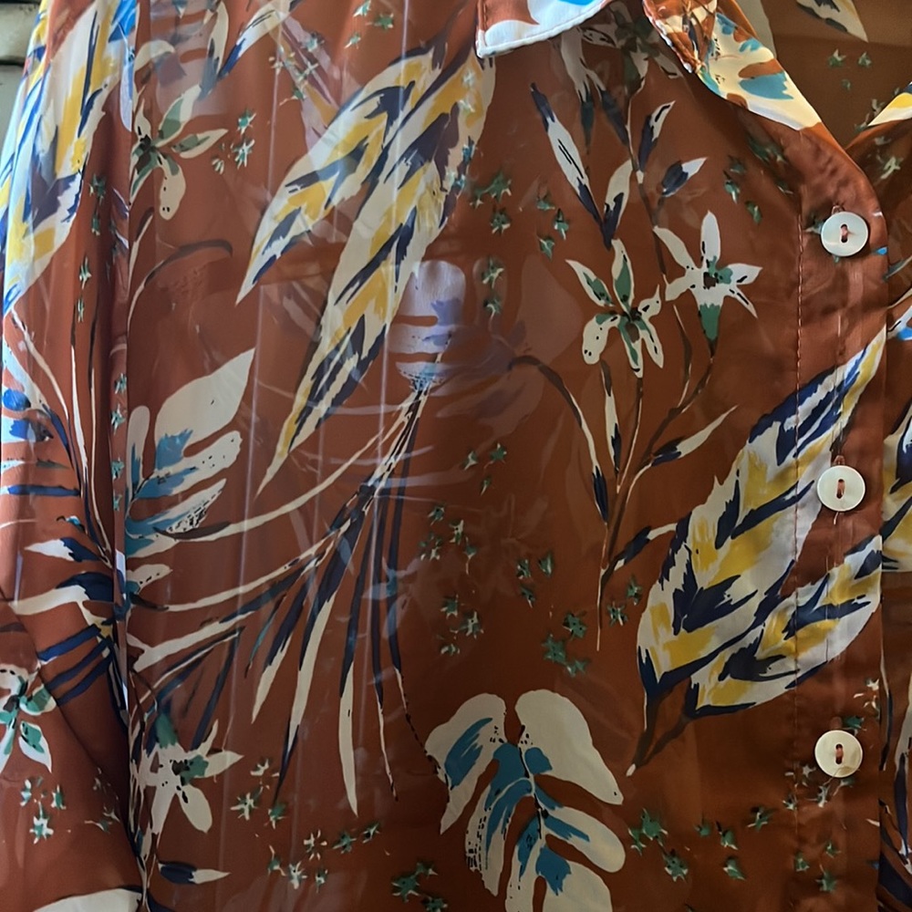 Sheer button down - Picture 2 of 5